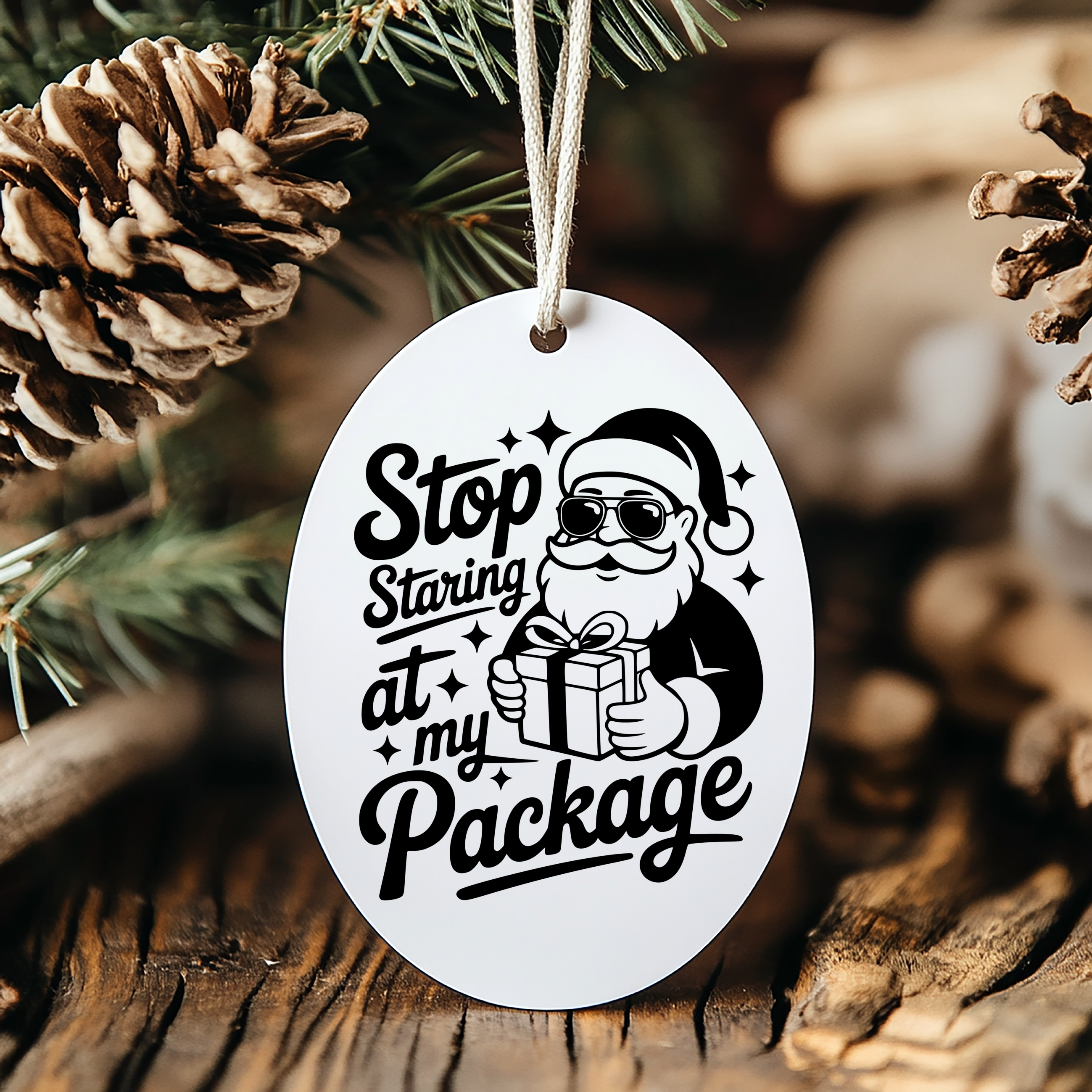 Oval Ornament Santa's Package